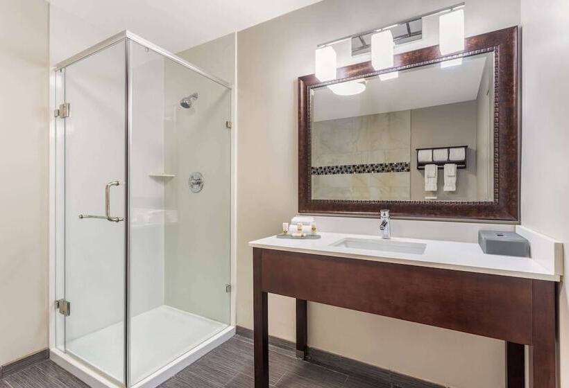 ホテル La Quinta By Wyndham Rockford