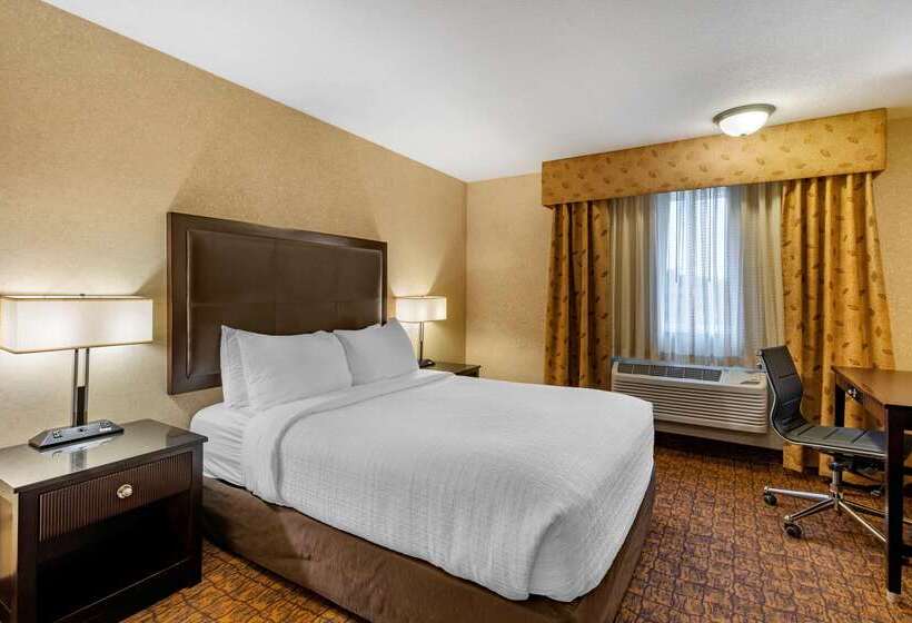 Lloyd Hotel Astoria Bayfront, Ascend Hotel Collection