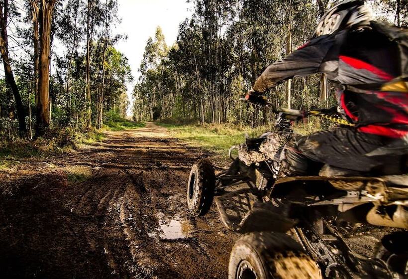 Magnuson Hotel Country Inn