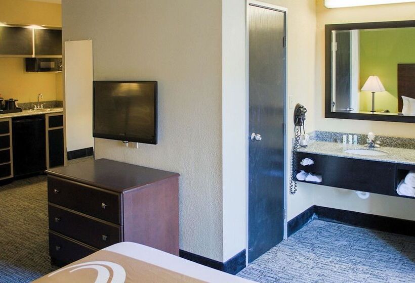 酒店 Quality Inn & Suites At Airport Blvd I65