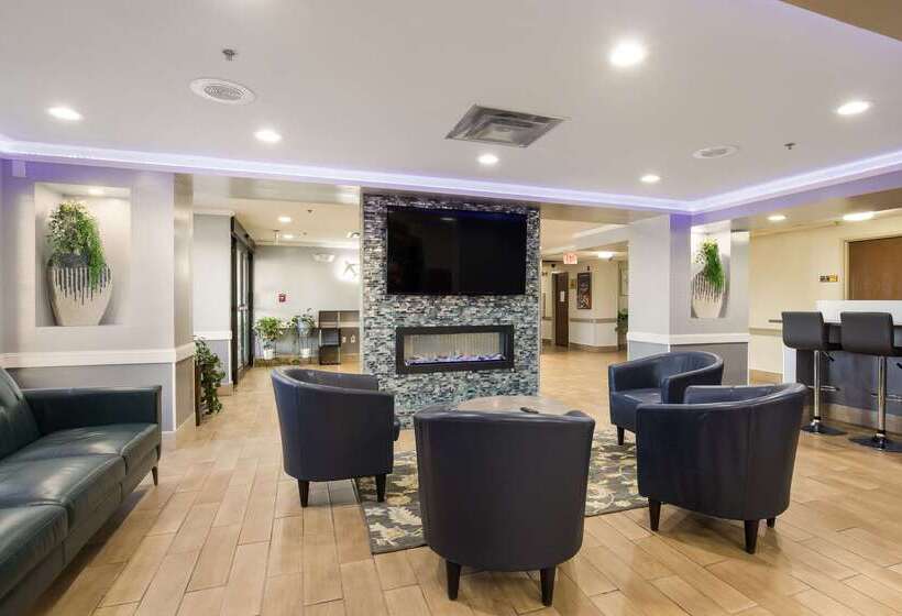 ホテル Quality Inn & Suites Cvg Airport