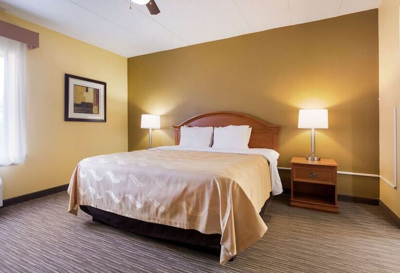 ホテル Quality Inn & Suites Cvg Airport