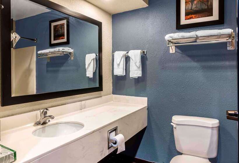 酒店 Quality Inn & Suites Exmore