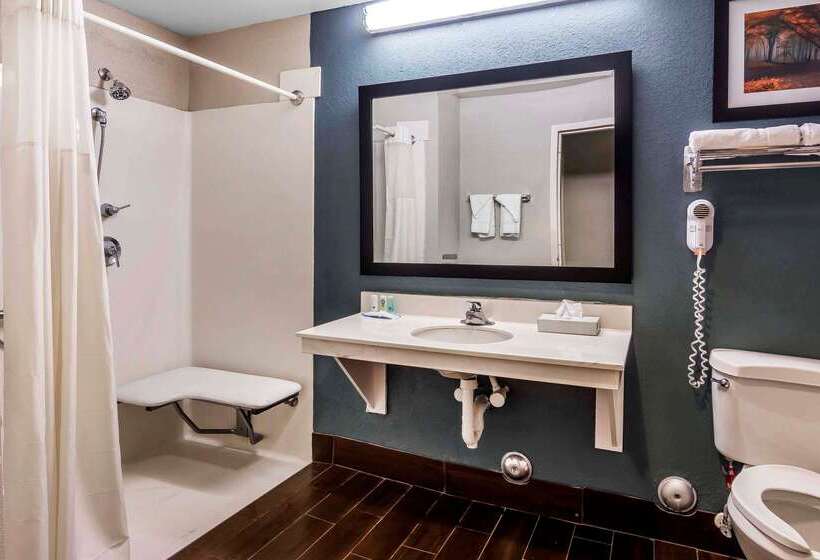 Отель Quality Inn & Suites Exmore