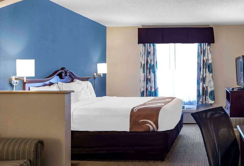 酒店 Quality Inn & Suites Exmore