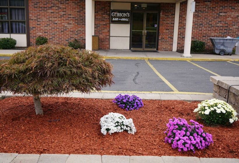 فندق Rodeway Inn & Suites