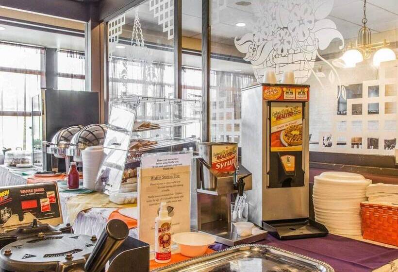 فندق Rodeway Inn & Suites