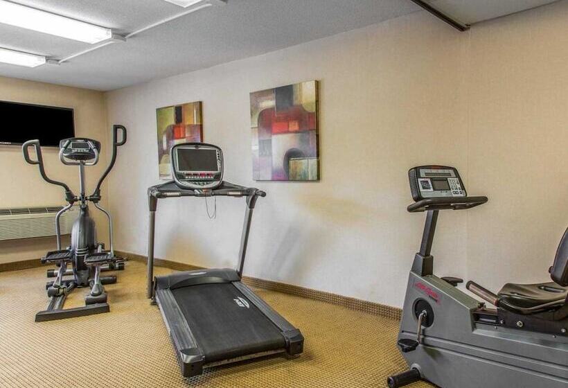 فندق Rodeway Inn & Suites