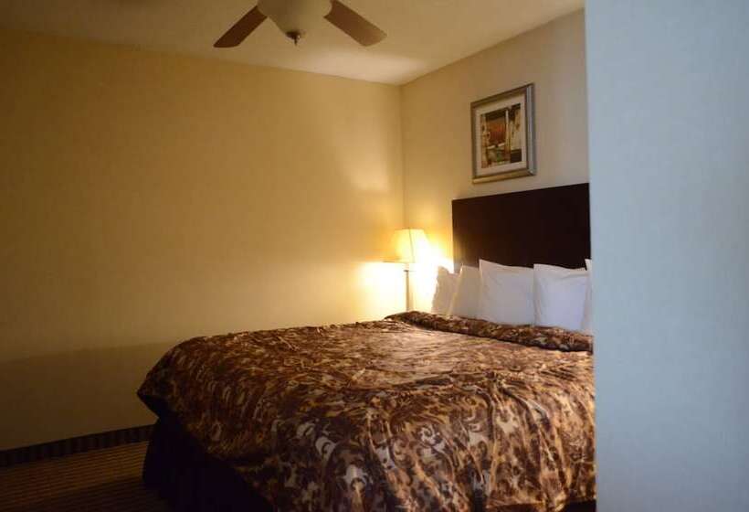 فندق Rodeway Inn & Suites