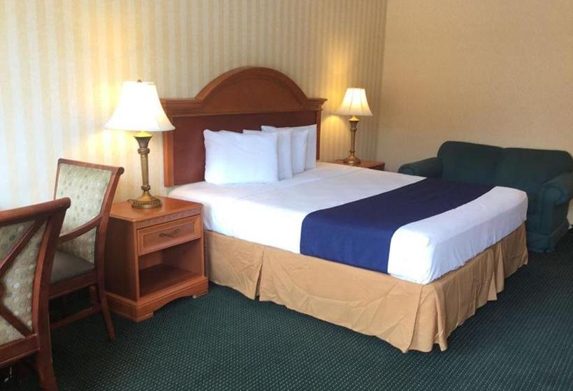 فندق Springfield Inn