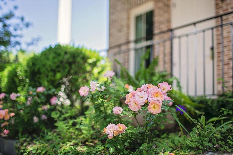 فندق The Beaufort Inn