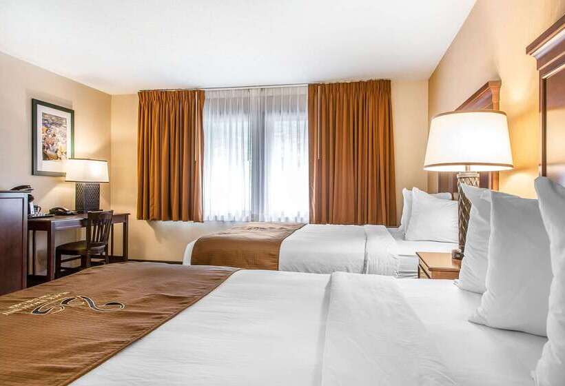 The Black Swan Lee   Lenox, Ascend Hotel Collection