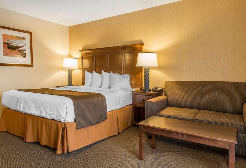 The Black Swan Lee   Lenox, Ascend Hotel Collection