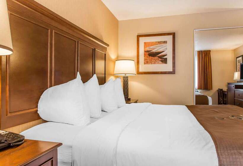 The Black Swan Lee   Lenox, Ascend Hotel Collection