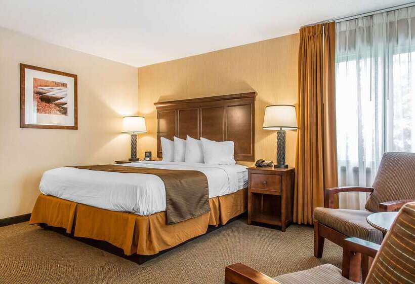 The Black Swan Lee   Lenox, Ascend Hotel Collection