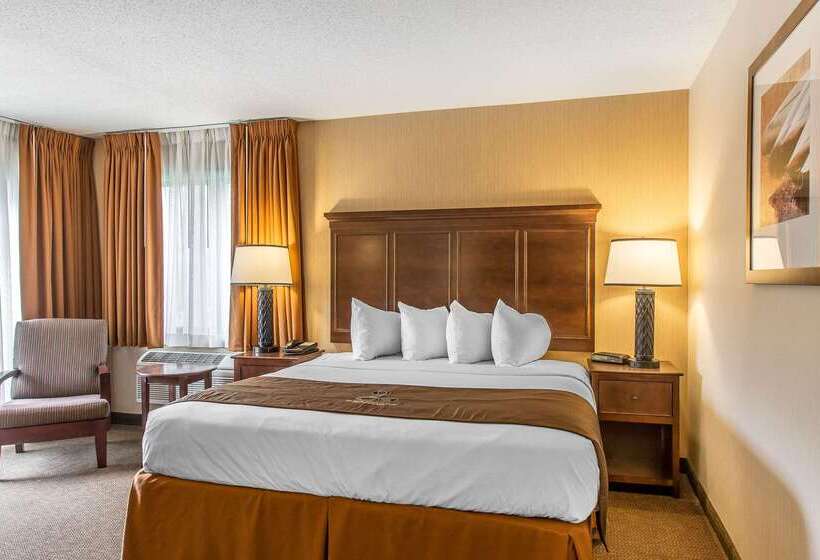 The Black Swan Lee   Lenox, Ascend Hotel Collection