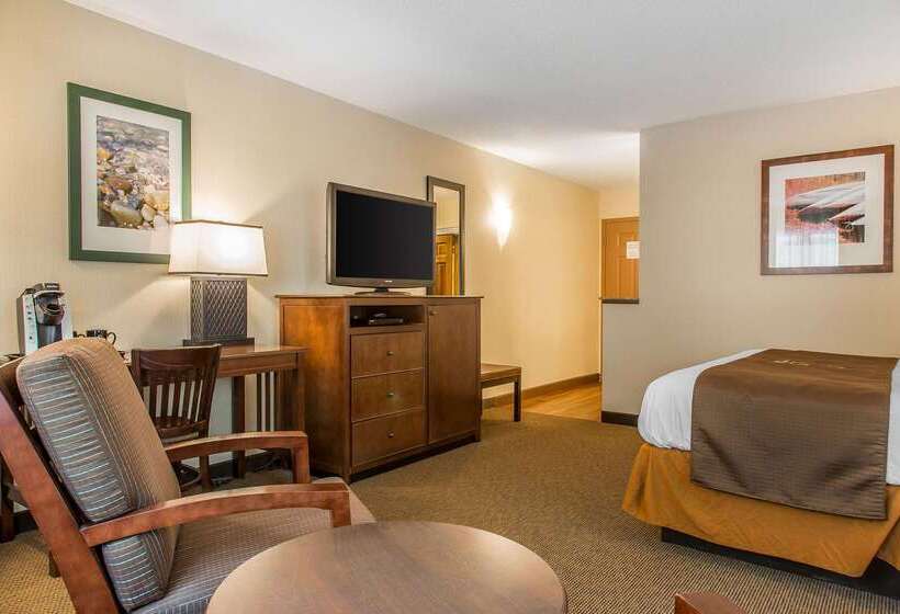 The Black Swan Lee   Lenox, Ascend Hotel Collection