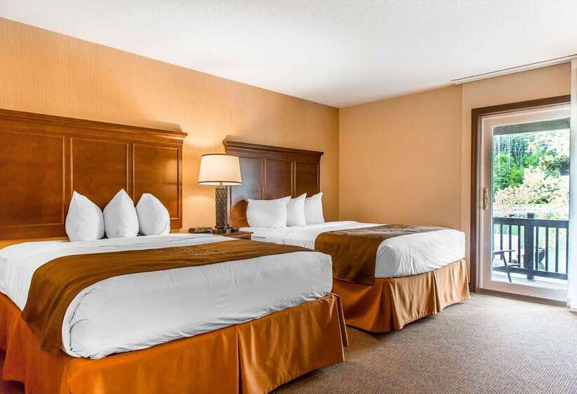 The Black Swan Lee   Lenox, Ascend Hotel Collection