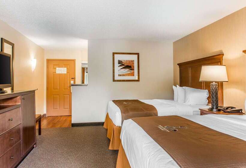 The Black Swan Lee   Lenox, Ascend Hotel Collection