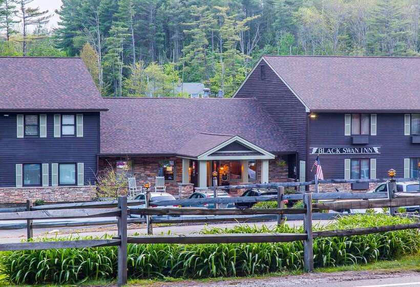 The Black Swan Lee   Lenox, Ascend Hotel Collection