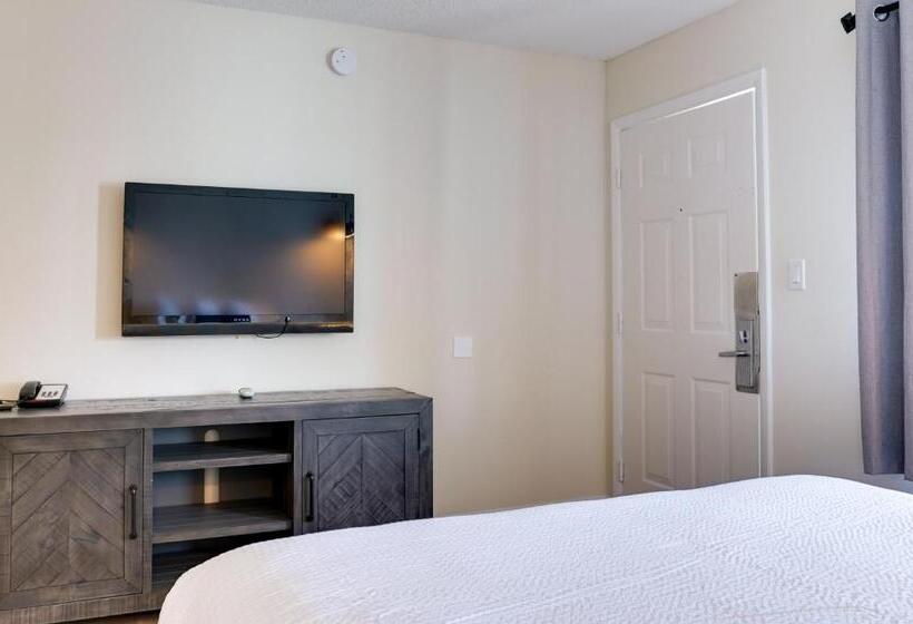 酒店 The Shorehouse