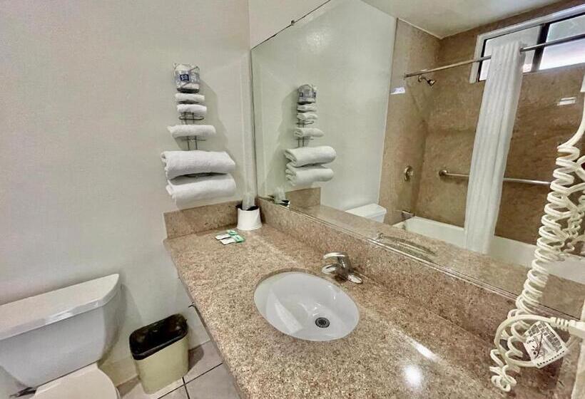 فندق على الطريق Rodeway Inn