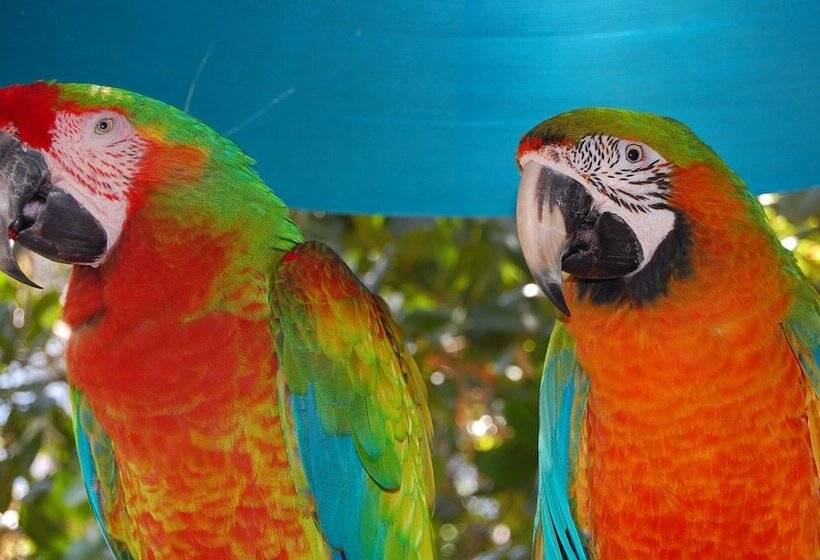 渡假胜地 Holiday Inn Miami Beachoceanfront, An Ihg