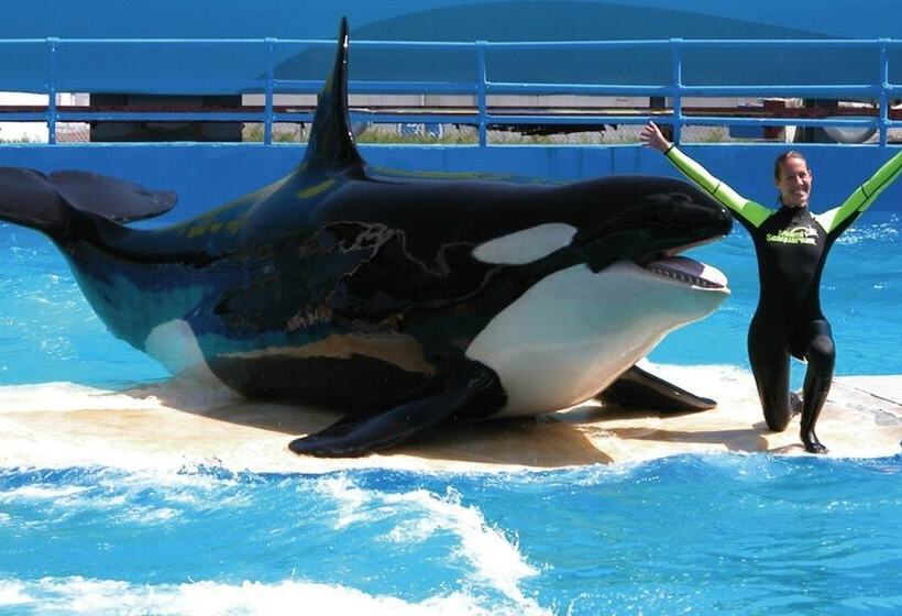 渡假胜地 Holiday Inn Miami Beachoceanfront, An Ihg