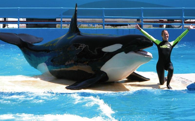 渡假胜地 Holiday Inn Miami Beachoceanfront, An Ihg