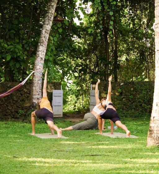 膳宿费 Surf Lodge Madiha