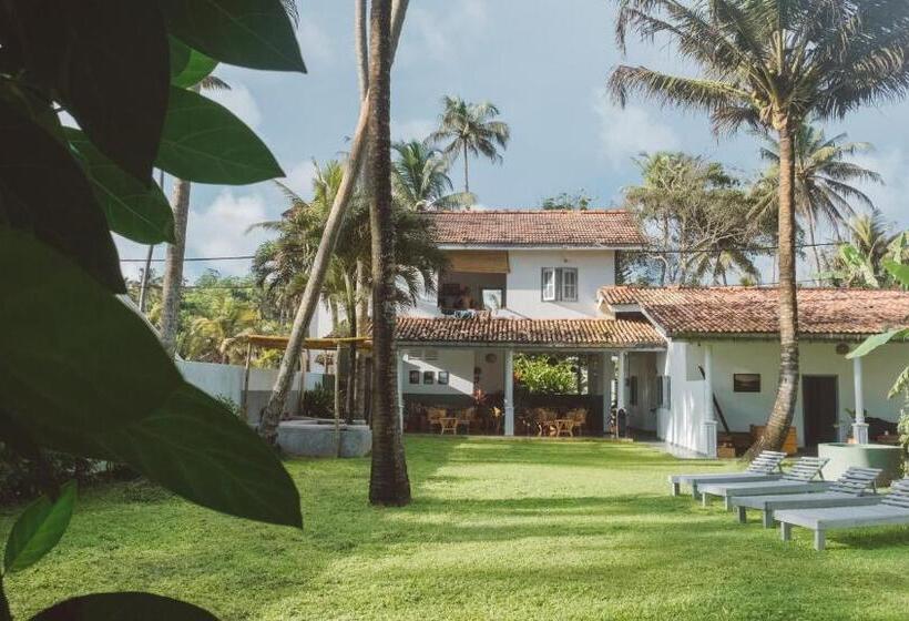 膳宿费 Surf Lodge Madiha