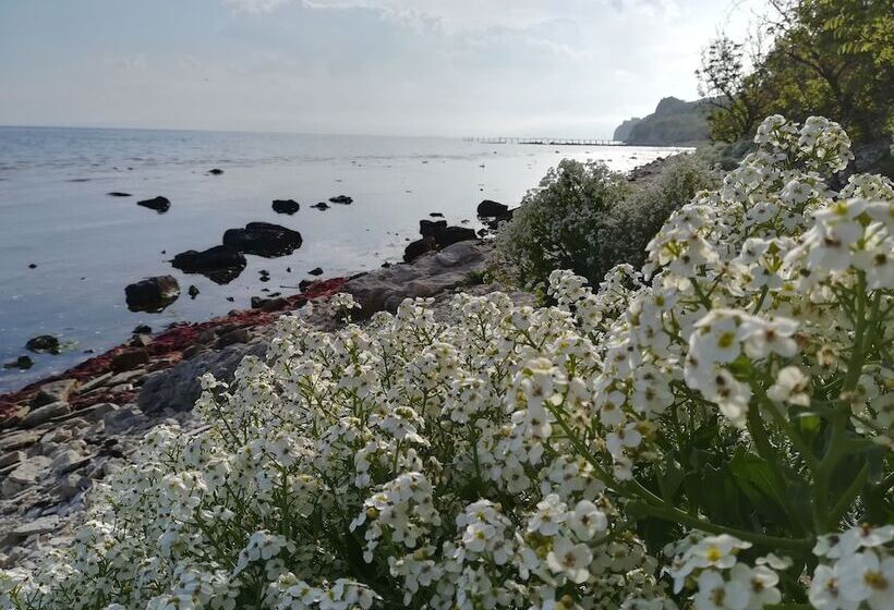 膳宿费 Villa L3 In Lighthousegolf Resort