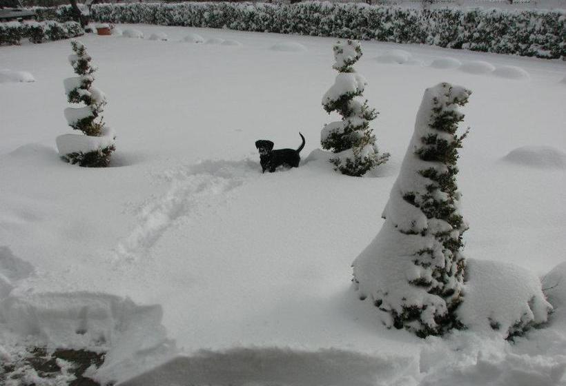 בית מלון כפרי Agriturismo Villa Ione