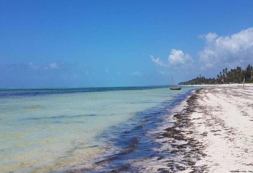 فندق Pristine House