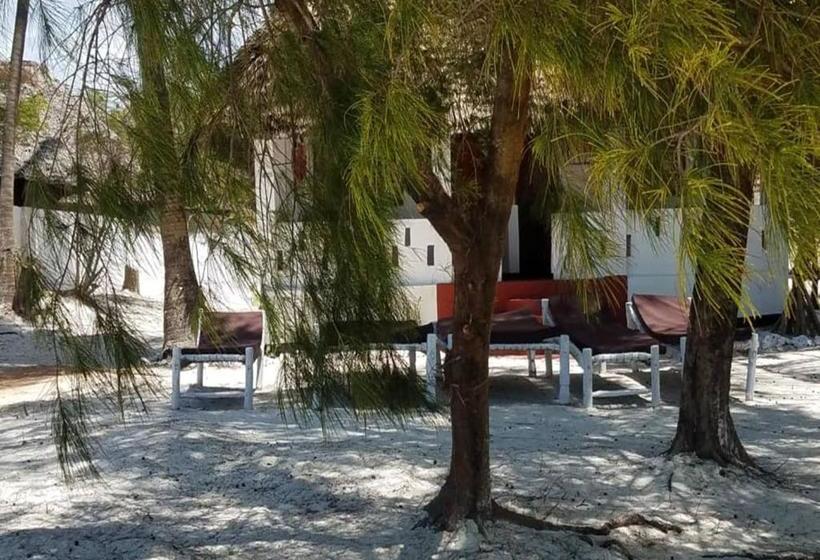 فندق Pristine House