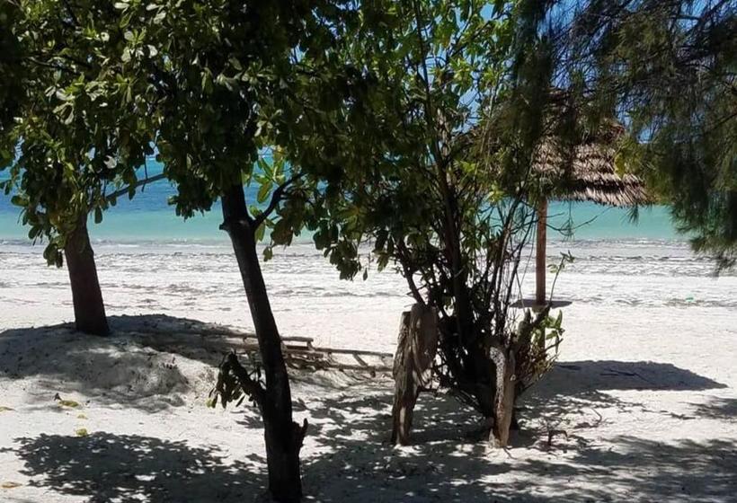 فندق Pristine House