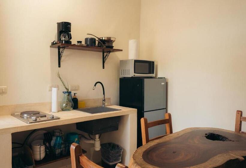 Nuiya Hoteles Centro