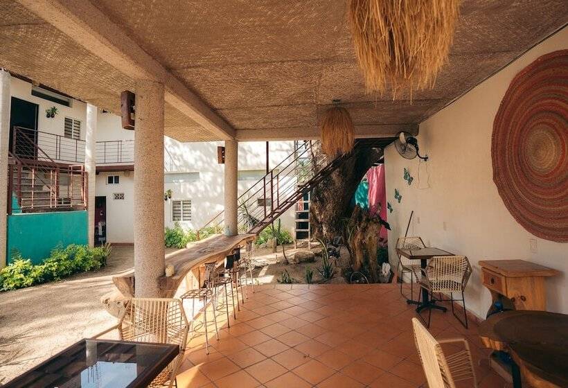 Nuiya Hoteles Centro