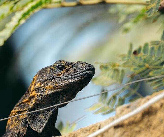 Nuiya Hoteles Centro