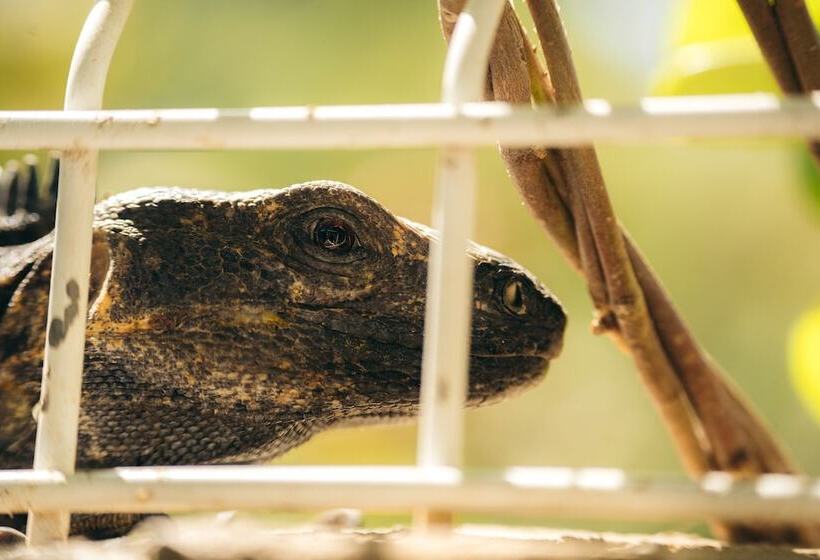 Nuiya Hoteles Centro