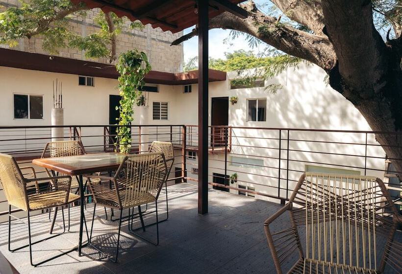 Nuiya Hoteles Centro