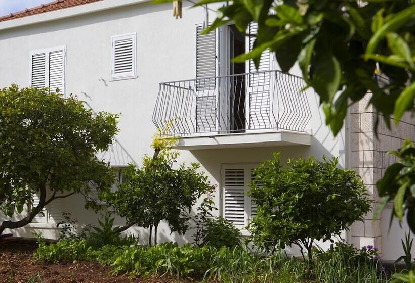 פנסיון Aida Apartments And Rooms