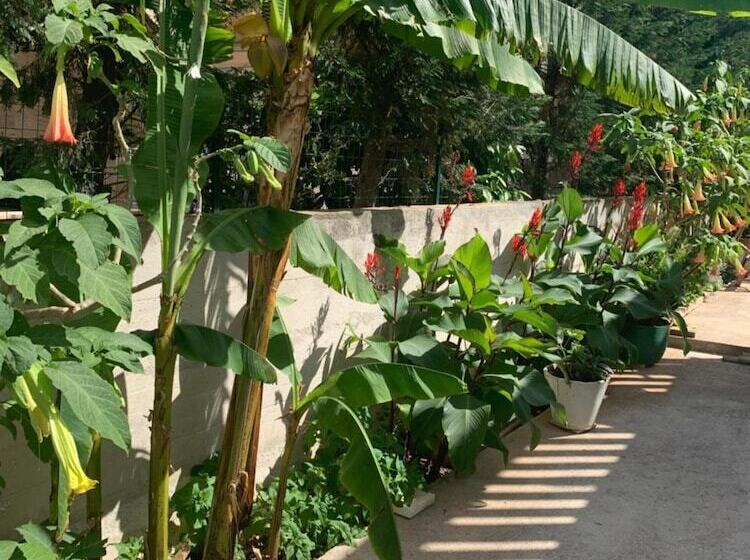 פנסיון Aida Apartments And Rooms