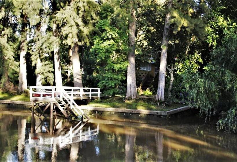 ペンション Gaia Hostal