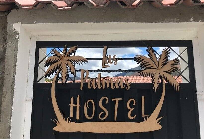 Пансион Hostel Las Palmas
