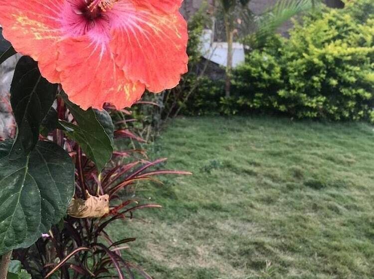 Пансион Hostel Las Palmas