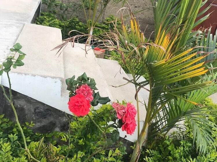 Пансион Hostel Las Palmas