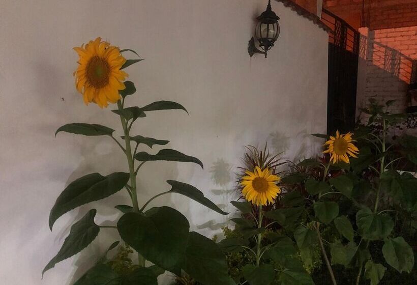 Пансион Hostel Las Palmas