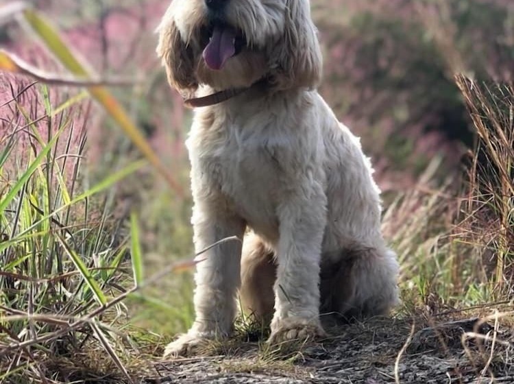 Пансион Hostel Las Palmas