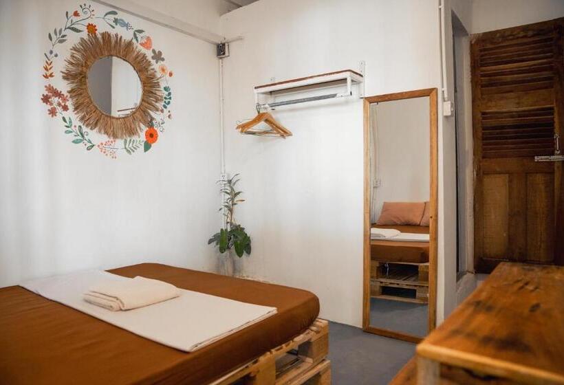 פנסיון Sacred Lotus   Vegan Café X Hostel